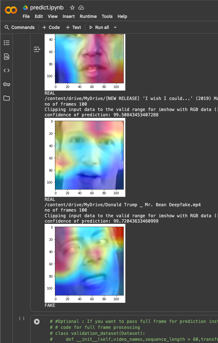 Deepfake Detection